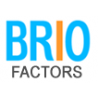 Brio Factors Technologies India Pvt. Ltd