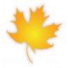 Maple Design Ltd