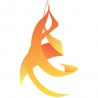 Netflare