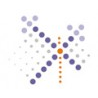 The Web Design Company