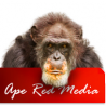 Ape Red Media - Hampshire