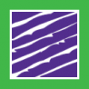 Maverick Web Development