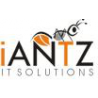 iAntz IT Solutions