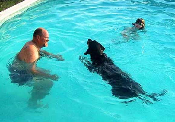 Having fun in the pool with Sam and Bear