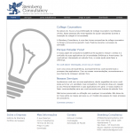 Steinberg Consultancy