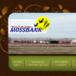 Town of Mossbank