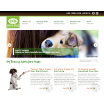Paw In Hand Pet Services