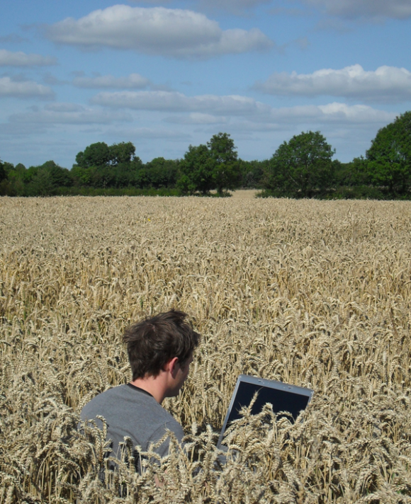 I do prefer the open-plan offices. Sadly, the corn is now all gone so I have to bring a packed lunch. 