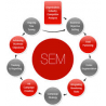 sscsworld logo