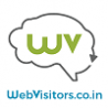 Web Visitors logo