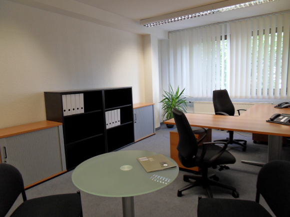 Business Analyst Cabin