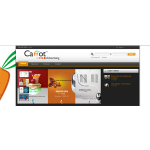 CARROT ADVERTISING