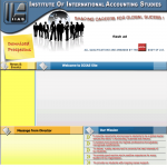 Institute Of International Accounting Studies