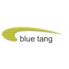 Blue Tang Web Systems Ltd logo