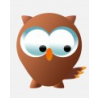 Wise Owl Web Design logo