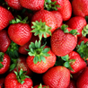 Strawberrysoup logo