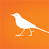 Chittak Web Development logo