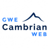 Gwe Cambrian Web logo
