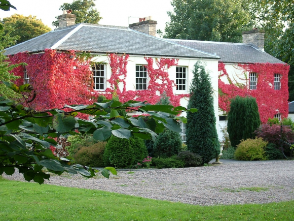 We are fortunate to operate from a delightful country setting, which does wonders for our creativity.