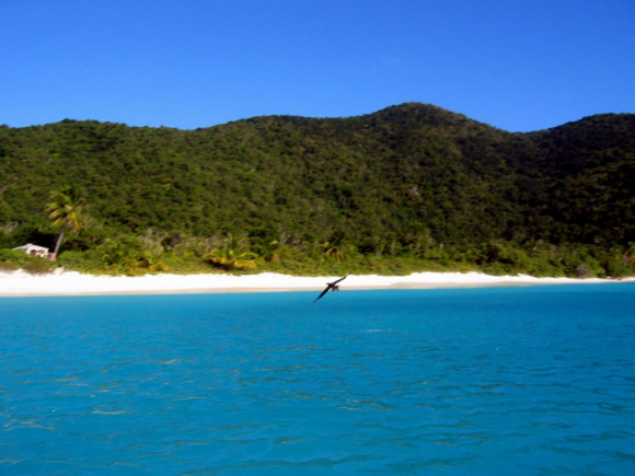 One day we will be able to have our office on this beach and watch the waves roll past
