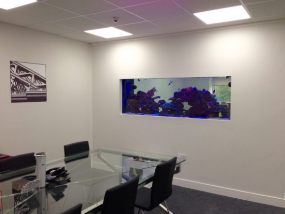 Team Valley Web Office