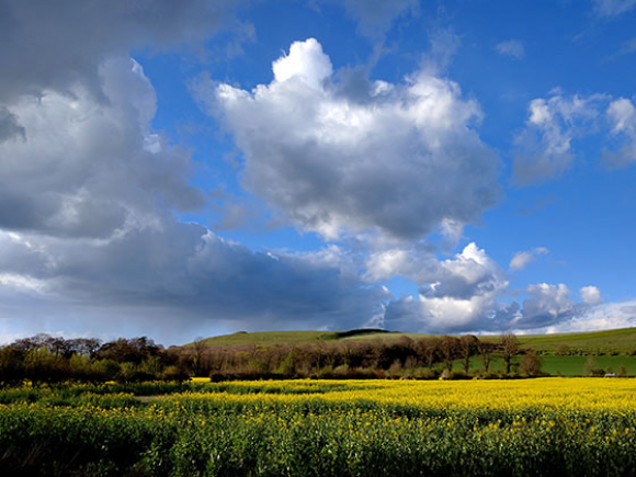 Our office is deep in the Wiltshire countryside. We are surrounded by nature which is very inspiring, the view is always changing with the seasons - and the weather!