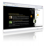Exclusive Homes and Gardens