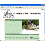 Norfolk & Coe Tortoise Club