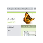 Lyddon Consulting