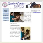 Equine Dental