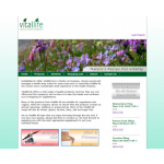Vitallife NI