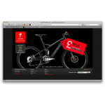Specialized Concept Stores