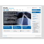 Dual Corporate Risks