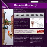Peel & Shaw Consulting ltd