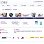 Starr Consulting