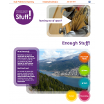 Stuff! Professional Organizing