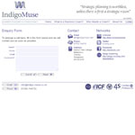 Indigo Muse