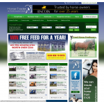 Horse Trader