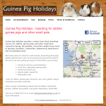 Guinea Pig Holiday