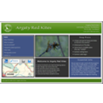 Argaty Red Kites