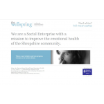 The Wellspring