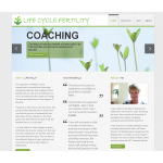 Life Cycle Fertility