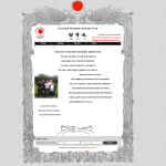 Bircotes Shotokan Karate Club