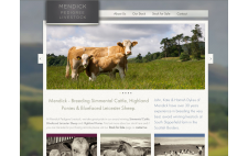 Scottish Pedigree