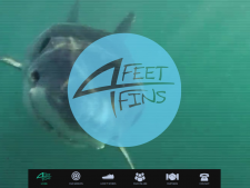 Feet For Fins
