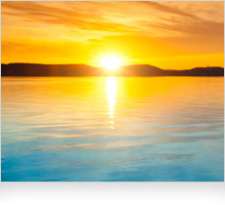 Solar Technology International