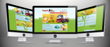 Ingoe Oils Ltd