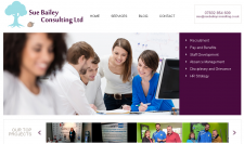 Sue Bailey Consulting