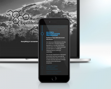 Equilibrium Project Ltd.