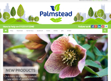 Palmstead